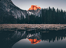 澳网奖金同比增长16%创新高,周杰伦和中国大公司添了一把火